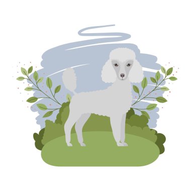 arka plan manzara ile sevimli kaniş köpek