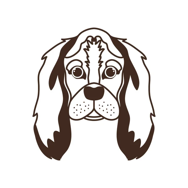 Cabeça de bonito cocker spaniel ingles cão no branco — Vetor de Stock