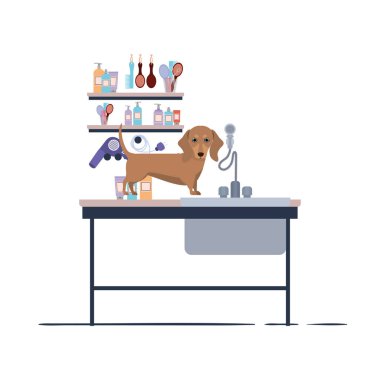 beyaz arka plan ile kuaför masada köpek