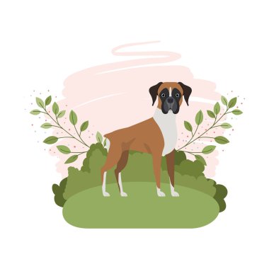 arka plan manzara ile sevimli boksör köpek