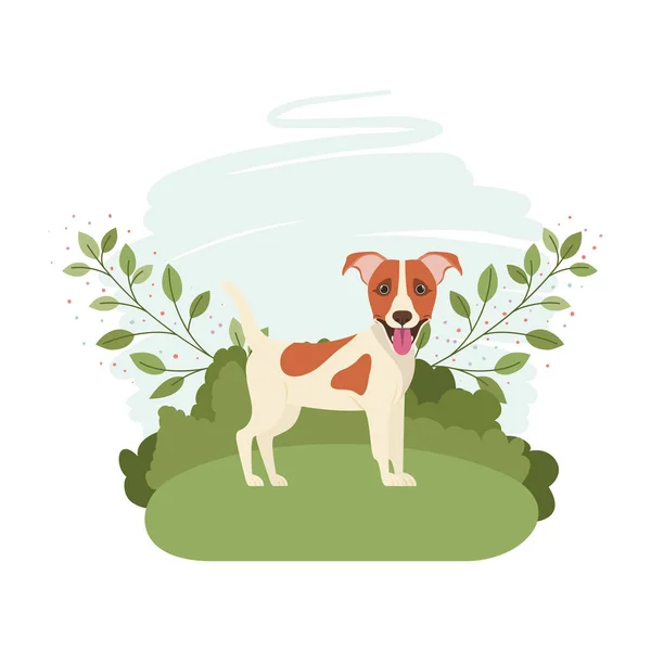 น่ารัก Jack Russell Rerrier สุนัขที่มีภูมิทัศน์พื้นหลัง — ภาพเวกเตอร์สต็อก