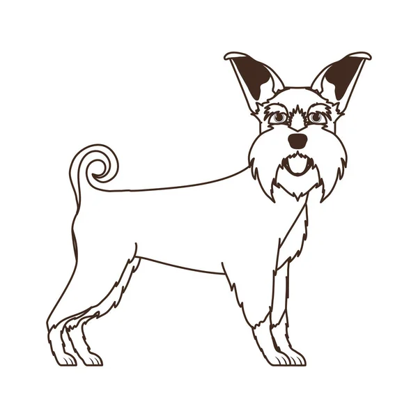 Силуэт милый шнауцер собака на белом фоне — стоковый вектор