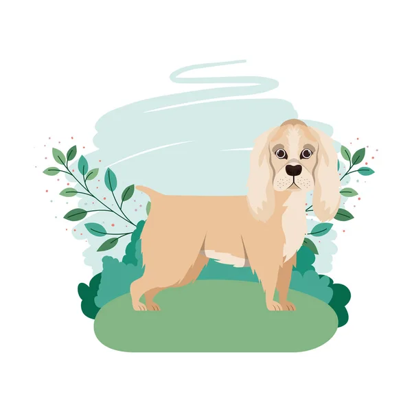 น่ารัก cocker สเปนเนียลสุนัขที่มีภูมิทัศน์พื้นหลัง — ภาพเวกเตอร์สต็อก