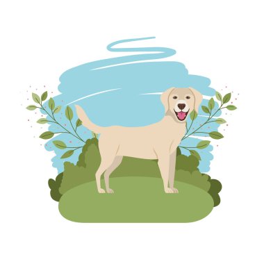 arka plan manzara ile sevimli labrador retriever köpek