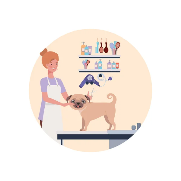 Junge Frau mit Hund im Tierpfleger — Stockvektor