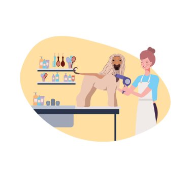 evcil hayvan damat köpek ile genç kadın