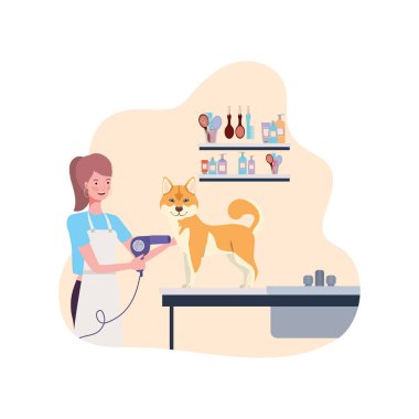 evcil hayvan damat köpek ile genç kadın