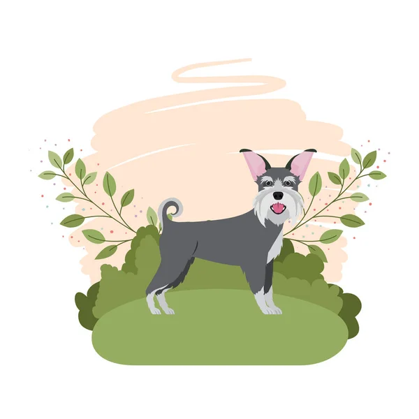 น่ารัก schnauzer สุนัขที่มีภูมิทัศน์พื้นหลัง — ภาพเวกเตอร์สต็อก