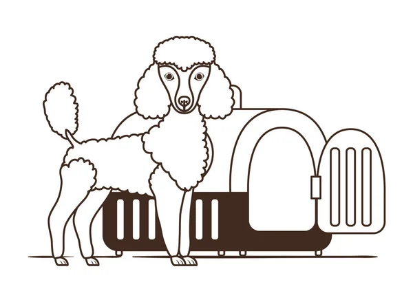 Silueta psích a PET přepravních polí na bílém pozadí — Stockový vektor