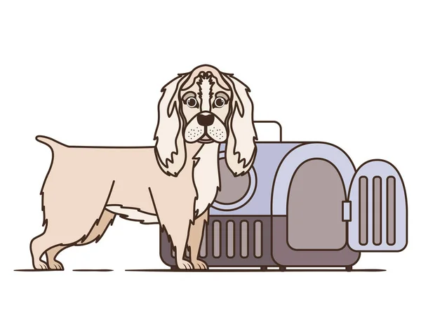 白い背景に犬とペットの輸送ボックス — ストックベクタ