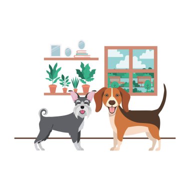 oturma odasında sevimli ve sevimli köpekler