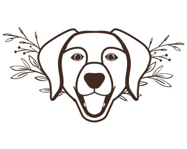 beyaz arka plan üzerinde sevimli labrador retriever köpek başkanı