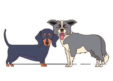 beyaz arka planda sevimli ve sevimli köpekler