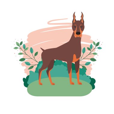 arka plan manzara ile sevimli doberman köpek