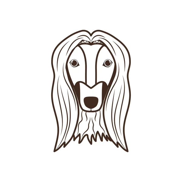 Κεφάλι του χαριτωμένο Galgo αφκάνο σκύλος σε λευκό φόντο — Διανυσματικό Αρχείο