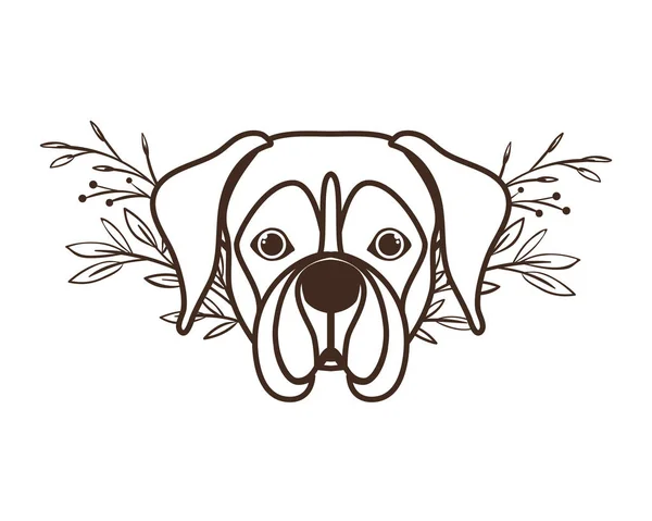 Testa di simpatico cane pugile su sfondo bianco — Vettoriale Stock