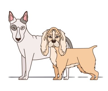 beyaz arka planda sevimli ve sevimli köpekler