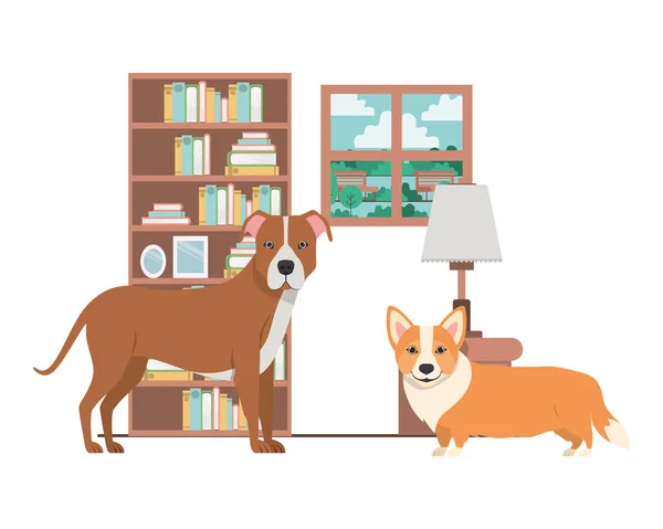Oturma odasında sevimli ve sevimli köpekler — Stok Vektör