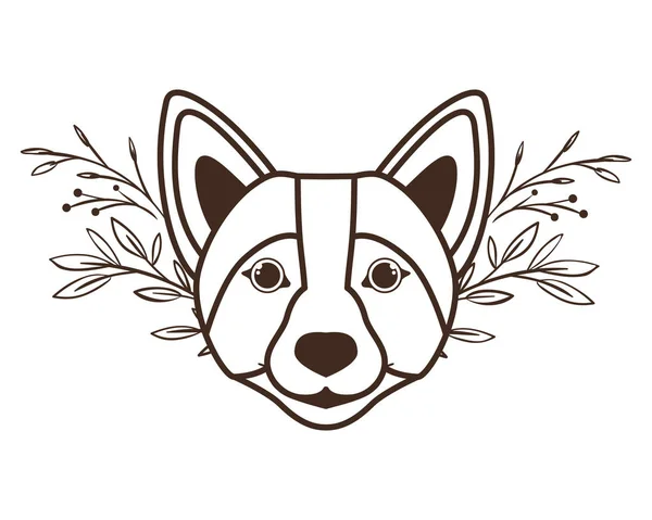 Tête de mignon chien corgi gallois sur fond blanc — Image vectorielle