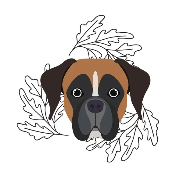 Tête de chien boxeur mignon sur fond blanc — Image vectorielle