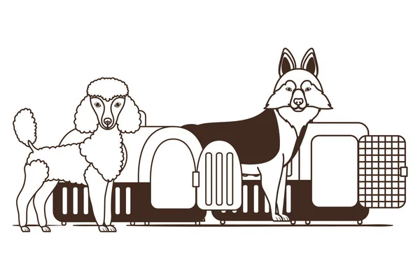 Silueta de perros y cajas de transporte de mascotas sobre fondo blanco — Vector de stock