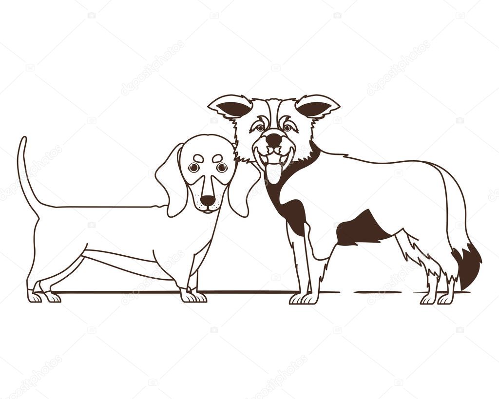 silhouette of cute and adorable dogs on white background