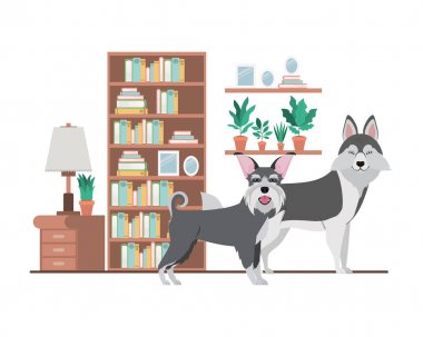 oturma odasında sevimli ve sevimli köpekler