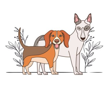 beyaz arka planda sevimli ve sevimli köpekler