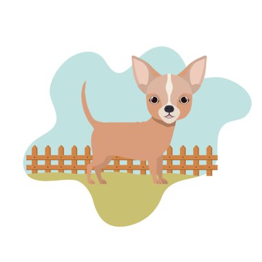 arka plan manzara ile sevimli chihuahua köpek