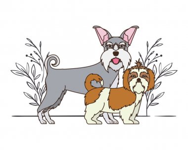 beyaz arka planda sevimli ve sevimli köpekler