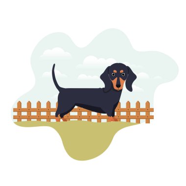 arka plan manzara ile sevimli dachshund köpek