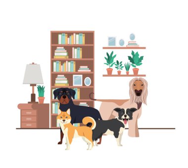 oturma odasında sevimli ve sevimli köpekler
