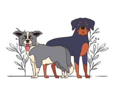 yaprakları arka plan ile sevimli ve sevimli köpekler