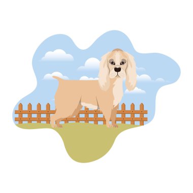 arka plan manzara ile sevimli cocker spaniel ingles köpek