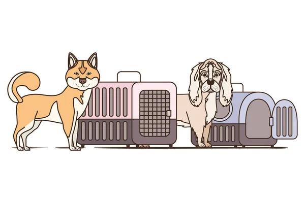 Boîtes de transport pour chiens et animaux sur fond blanc — Image vectorielle