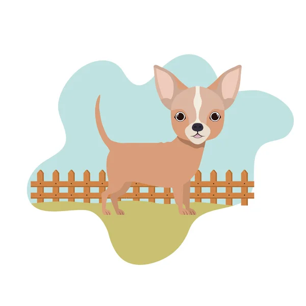 Lindo perro chihuahua con paisaje de fondo — Vector de stock