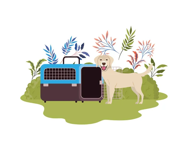 Cão e animal de estimação caixa de transporte com paisagem de fundo — Vetor de Stock