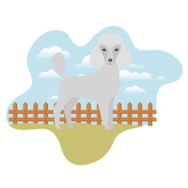 arka plan manzara ile sevimli kaniş köpek