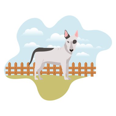 arka plan manzara ile sevimli boğa terrier köpek