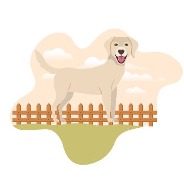 arka plan manzara ile sevimli labrador retriever köpek