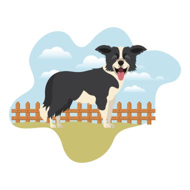 arka plan manzara ile sevimli sınır collie köpek