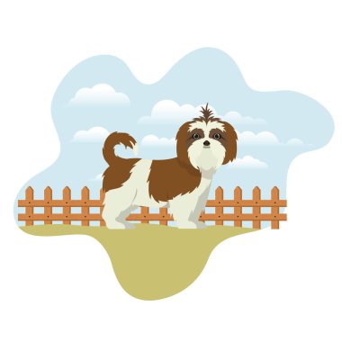 arka plan manzara ile sevimli shih tzu köpek