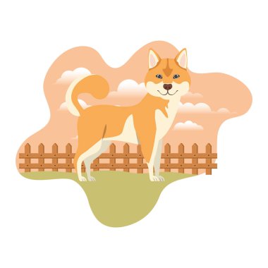 arka plan manzara ile sevimli akita inu köpek