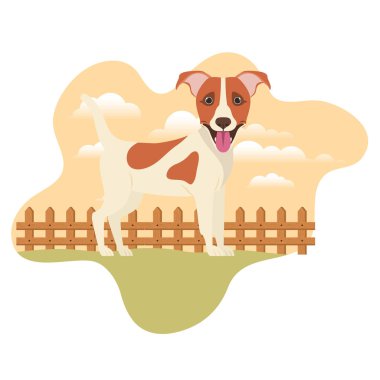 arka plan manzara ile sevimli jack russell rerrier köpek