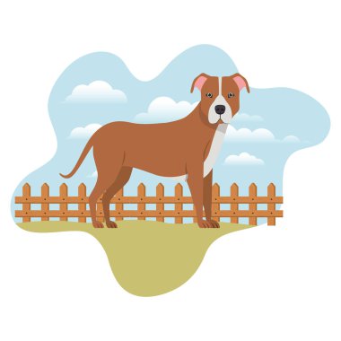 arka plan manzara ile sevimli pitbull köpek