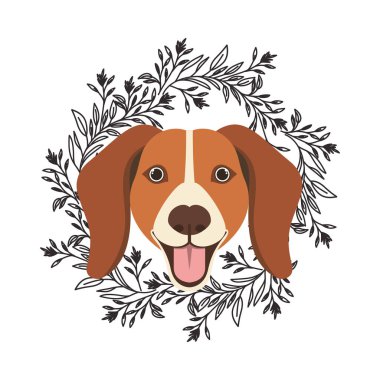 beyaz arka plan üzerinde sevimli beagle köpek başı