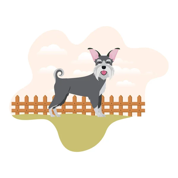 Lindo perro schnauzer con paisaje de fondo — Vector de stock