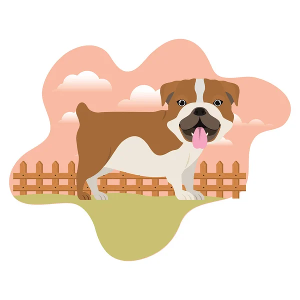 Bonito buldogue ingles cão com fundo paisagem —  Vetores de Stock