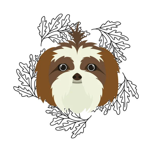 Head of cute shih tzu dog on white background — Stock Vector