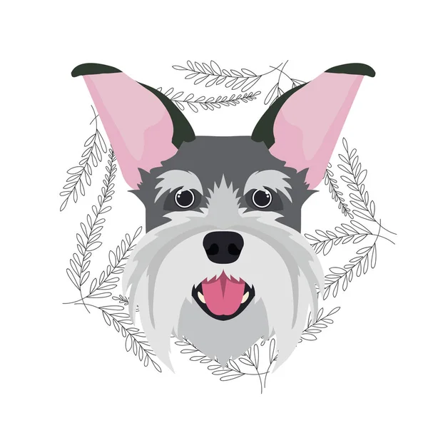 Tête de chien schnauzer mignon sur fond blanc — Image vectorielle